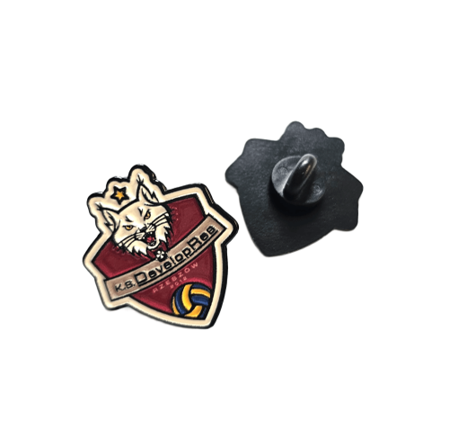 Pin KS Developres Rzeszów.png